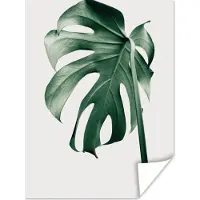 PosterMonkey Poster Monstera - Bladeren - Groen - Stilleven - 90x120 cm
