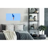 PosterMonkey Poster Pauw - IJshoorntjes - IJs - Blauw - Vogel - 80x40 cm
