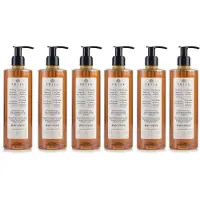 Sarcia.eu PRIJA 2in1 vloeibare douchegel-shampoo met ginseng-extract, met pompje, veganistisch, 6x 380 ml