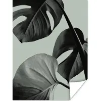 PosterMonkey Poster Monstera - Bladeren - Groen - Stilleven - 30x40 cm