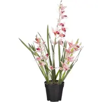 Mica Decorations Orchidee bloem kunstplant - perzik roze - H66 x B34 cm