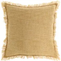 Coppens Maxime taffy 45 |