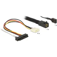 DeLOCK Interne SAS kabel, Interne kabel (PC)