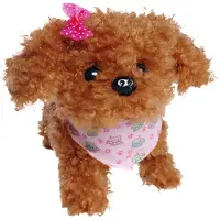 Simba CCL Tea Cup Poodle Puppy