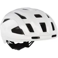 Oakley Aro3 Endurance Mips Helm