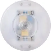 Tradim Vloerdimmer led 1-100W | Transparant | Fase afsnijding (RC) | , 64310