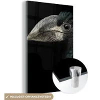 MuchoWow - Glasschilderij - Foto op glas - Acrylglas - Neushoornvogel - Dier - Snavel - Zwart wit - Vogel - 120x180 cm - Schilderij glas - Glasschilderij vogels - Glasschilderij zwart wit