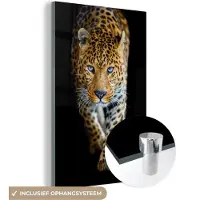 MuchoWow Glasschilderij - Acrylglas - Muurdecoratie - Luipaard - Zwart - Dieren - Schilderij glas - 120x180 cm - Foto op glas - Woonkamer - Wanddecoratie