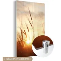 MuchoWow - Glasschilderij - Foto op glas - Riet - Gras - Zon - Natuur - 120x180 cm - Afbeelding op glas - Wanddecoratie - Schilderij natuur - Acrylglas