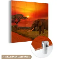 MuchoWow Glasschilderij - Olifant - Zon - Savanne - Natuur - Muurdecoratie - Schilderij glas - Acrylglas - 20x20 cm - Wanddecoratie - Foto op glas