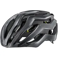 Giant Rev Pro Mips Helm