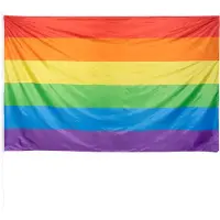 Party Deco - Polyester reuzenvlag Regenboog - Regenboog - Regenboog