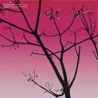 Konkurrent Motorpsycho - Phanerothyme (LP) (Remastered)