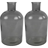 Countryfield 2x Stuks Countryfield Vaas - grijs glas - fles - D14 x H27 cm - Vazen