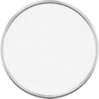 vidaXL Wandspiegel rond Ø20 cm zilverkleurig