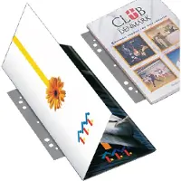 Djois File-strips Zelfklevend Geponst Transparant 295 mm Pak van 100