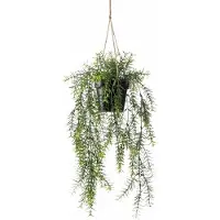 Driesprong Collection Zijdeplant Hangplant met pot Asparagus kunstplant