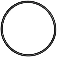 Pentair O-Ring voor Deksel IntelliFlo Whisperflo zwembadpomp