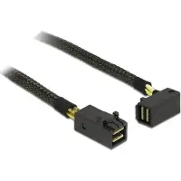 DeLOCK HDD Aansluitkabel [1x Mini-SAS-stekker (SFF-8643) - 1x Mini-SAS-stekker (SFF-8643)] 0.5 m Zwart