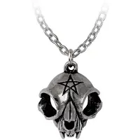 Alchemy - My Forever Friend Ketting - Zilverkleurig