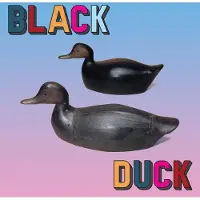 Konkurrent Black Duck - Black Duck (LP)