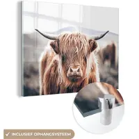 MuchoWow Glasschilderij 160x120 cm - Schilderij acrylglas - Schotse Hooglander - Berg - Hoorn - Foto op glas - Schilderijen