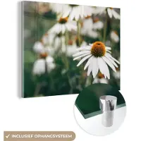 MuchoWow Glasschilderij 160x120 cm - Schilderij acrylglas - Bloemen - Herfst - Botanisch - Foto op glas - Schilderijen