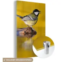 MuchoWow Glasschilderij 60x90 cm - Schilderij acrylglas - Koolmees - Vogel - Water - Foto op glas - Schilderijen