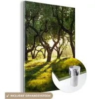 MuchoWow Glasschilderij 120x160 cm - Schilderij acrylglas - Bomen - Natuur - Zon - Foto op glas - Schilderijen