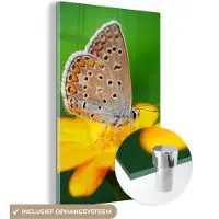 MuchoWow Glasschilderij 60x90 cm - Schilderij acrylglas - Bloemen - Vlinder - Natuur - Foto op glas - Schilderijen