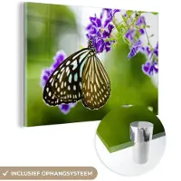 MuchoWow Glasschilderij 180x120 cm - Schilderij acrylglas - Lavendel - Vlinder - Botanisch - Foto op glas - Schilderijen
