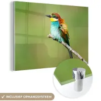 MuchoWow Glasschilderij 180x120 cm - Schilderij acrylglas - Vogel - Dieren - Bijeneter - Foto op glas - Schilderijen