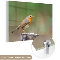 MuchoWow Glasschilderij 180x120 cm - Schilderij acrylglas - Dieren - Vogel - Roodborstje - Foto op glas - Schilderijen