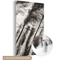 MuchoWow Glasschilderij 20x30 cm - Schilderij acrylglas - Pampasgras - Zwart - Wit - Plant - Foto op glas - Schilderijen