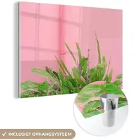 MuchoWow Glasschilderij 30x20 cm - Schilderij acrylglas - Plant - Zomer - Roze - Foto op glas - Schilderijen