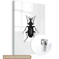 MuchoWow Glasschilderij 30x40 cm - Schilderij acrylglas - Zwart wit - Kever - Vintage - Insecten - Foto op glas - Schilderijen