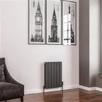 Eastbrook Addington type 20 radiator 45x60cm 602W staal antraciet
