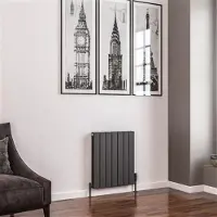Eastbrook Addington type 20 radiator 50x60cm 702W staal antraciet