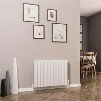 Eastbrook Addington type 10 radiator 80x60cm 772W staal wit glans