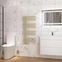 Eastbrook Hurley handdoekradiator 50x100cm 460W cappuccino