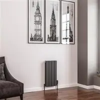 Eastbrook Addington type 20 radiator 30x60cm 401W staal antraciet