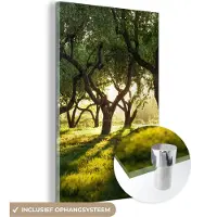 MuchoWow Glasschilderij 20x30 cm - Schilderij acrylglas - Bomen - Natuur - Zon - Foto op glas - Schilderijen