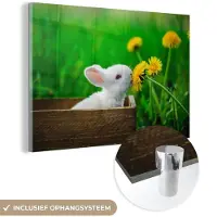 MuchoWow Glasschilderij 60x40 cm - Schilderij acrylglas - Konijn - Paardenbloem - Gras - Foto op glas - Schilderijen
