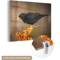 MuchoWow Glasschilderij - Foto op glas - Vogel - Merel - Winter - IJs - Bes - Acrylglas - 160x120 cm - Glasschilderij vogels - Muurdecoratie - Glasschilderij natuur - Wanddecoratie - Woonkamer