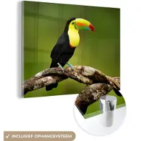MuchoWow - Glasschilderij - Foto op glas - Vogel - Toekan - Regenboog - Groen - Tak - 160x120 cm - Acrylglas - Muurdecoratie - Glasschilderij natuur - Glasschilderij vogels