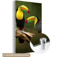 MuchoWow Glasschilderij - Foto op glas - Vogels - Toekan - Tak - Dieren - Acrylglas - Muurdecoratie - 120x180 cm - Schilderij glas - Glasschilderij dieren - Glasschilderij vogels - Wanddecoratie natuur
