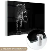 MuchoWow Glasschilderij - Acrylglas - Wilde dieren - Luipaard - Natuur - Zwart - Wit - Muurdecoratie - Foto op glas - 180x120 cm - Schilderijen woonkamer - Wanddecoratie dieren
