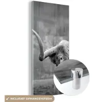 MuchoWow Glasschilderij 20x40 cm - Schilderij acrylglas - Schotse Hooglander - Koeienkop - Landschap - Natuur - Koe - Foto op glas - Schilderijen