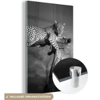 MuchoWow - Glasschilderij - Foto op glas - Acrylglas - Wilde dieren - Panter - Boom - Natuur - 120x180 cm - Schilderij glas - Glasschilderij dieren - Glasschilderij panter - Slaapkamer
