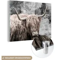 MuchoWow Glasschilderij 160x120 cm - Schilderij acrylglas - Schotse hooglander - Krant - Retro - Foto op glas - Schilderijen